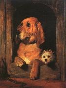 Sir Edwin Landseer Dignity and Impudence china oil painting reproduction